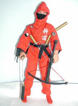 Ninja Warrior