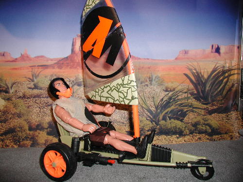 Desert Surfer